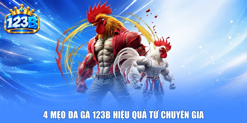4 mẹo đá gà 123b hiệu quả từ chuyên gia