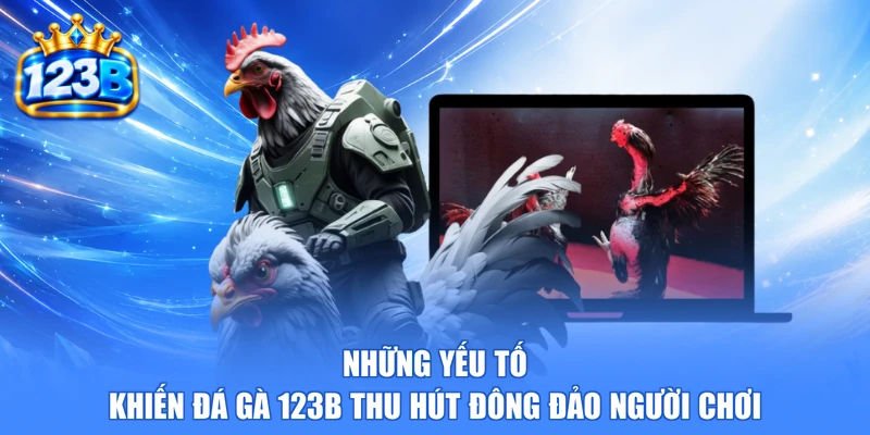 Những yếu tố khiến đá gà 123b thu hút đông đảo người chơi