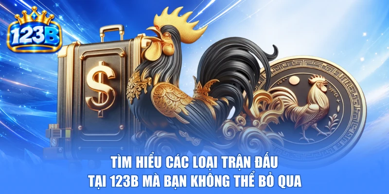 Tìm hiểu các loại trận đấu tại 123b mà bạn không thể bỏ qua
